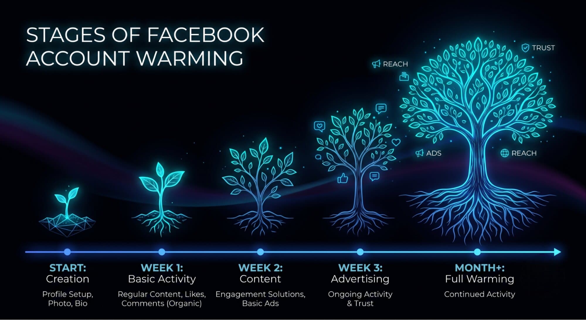 Facebook account warming