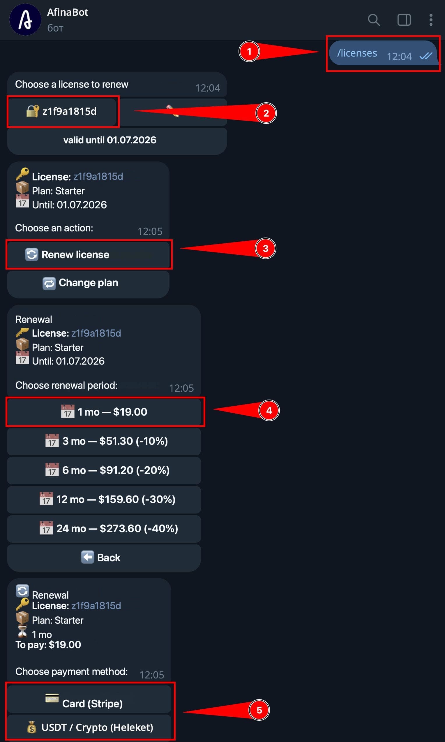 Dialog in the Telegram bot with plan selection and payment