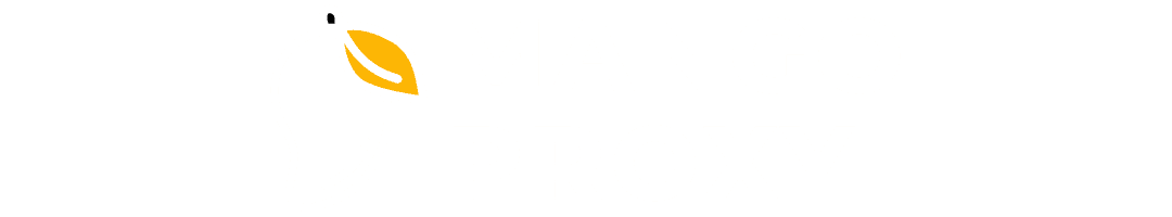 MangoProxy