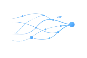 Advanced Network Capabilities
