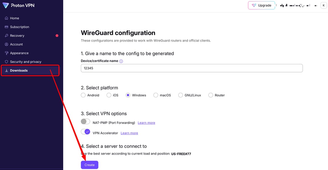 Proton VPN WireGuard configuration setup