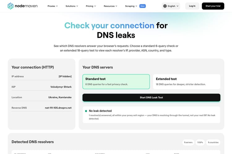 NodeMaven DNS leak test with hidden IP address