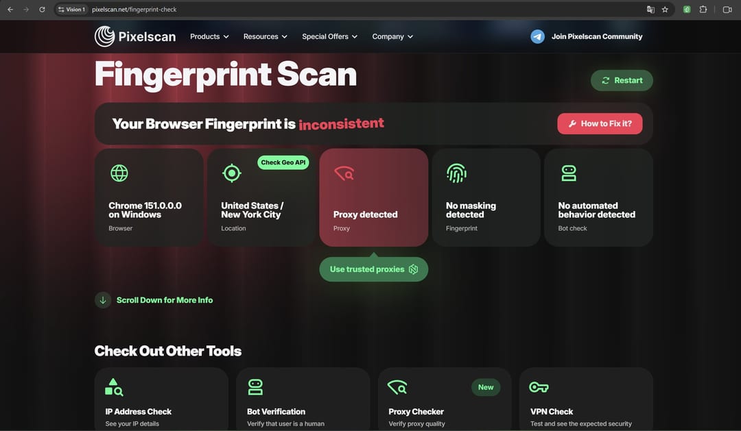 Результат проверки Vision Browser в Pixelscan